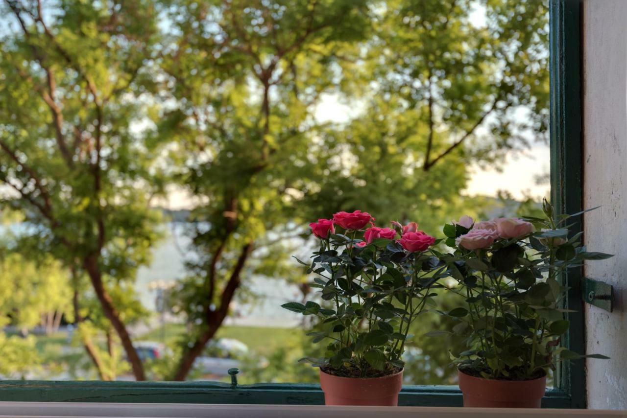 Apartment Oliveto シベニク エクステリア 写真